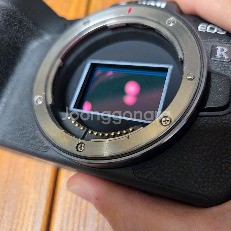 캐논 EOS RP 24-105mm--7