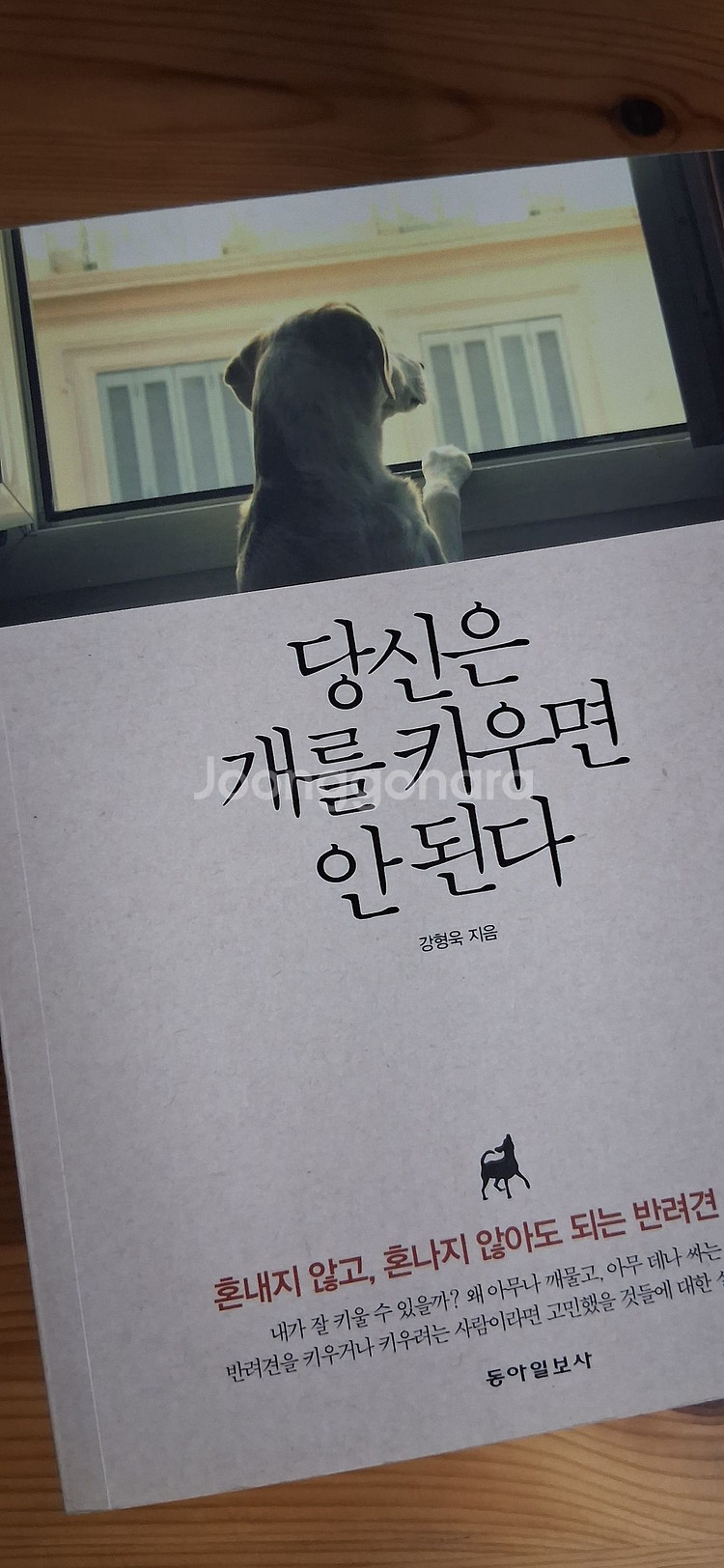 당신은 개를 키우면 안 된다 강형욱 도서--0