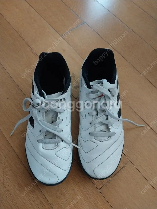 아디다스 아동 축구화 풋살화--5