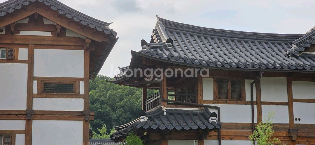 호주달러 당일 네이버 환율대로 거래합니다 (판매)--0