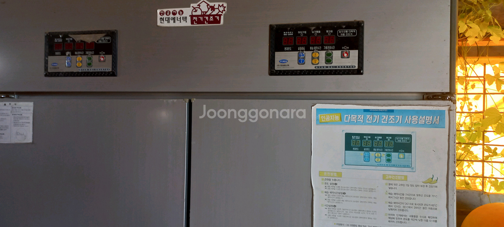 고추 채소 건조기 현대에너텍 인공지능 선반식 2형--0