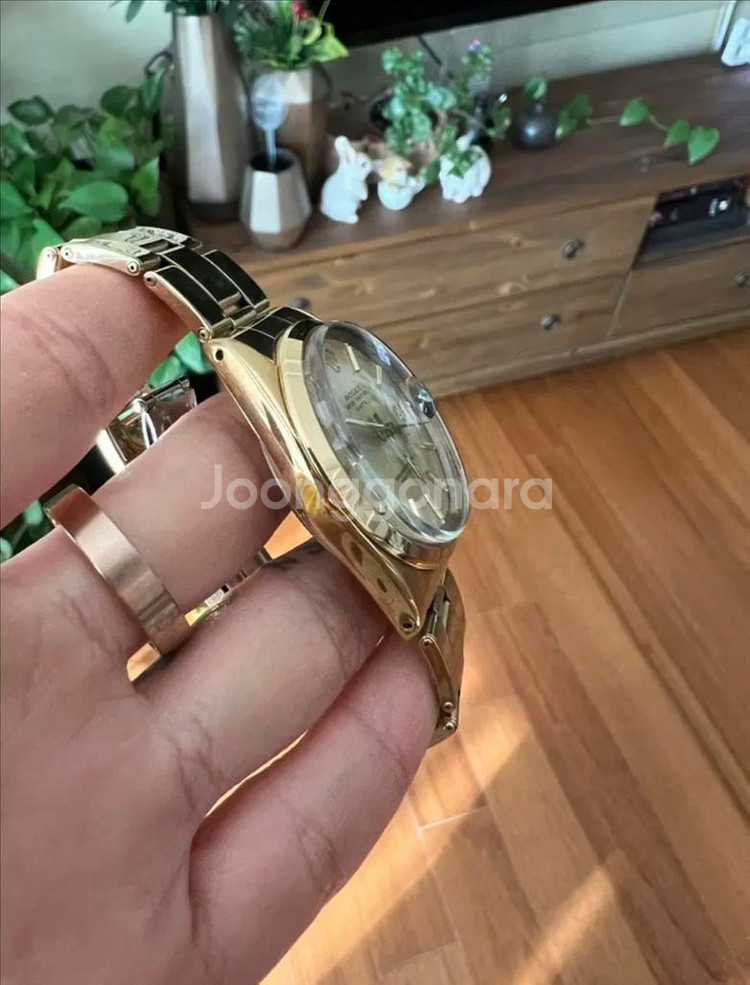 롤렉스 로렉스 1550 오이스터 데이트 캡골드 골드쉘--7