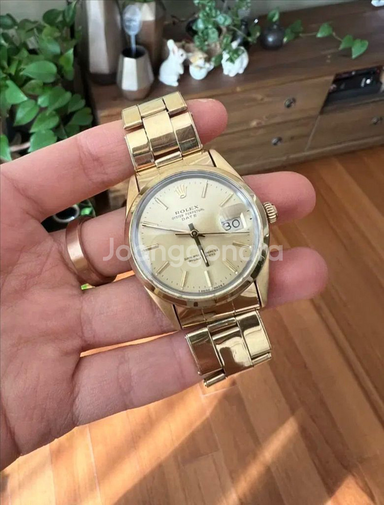 롤렉스 로렉스 1550 오이스터 데이트 캡골드 골드쉘--9
