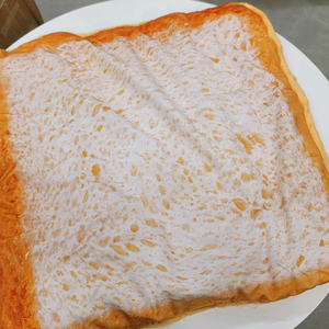 반려동물 음식디자인 매트 방석