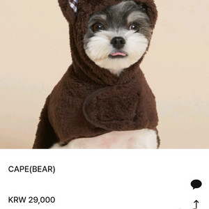 미닝러스 강아지 곰돌이 케이프 브라운M사이즈