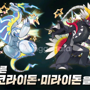 이로치 코라이돈, 미라이돈 코드 팝니다