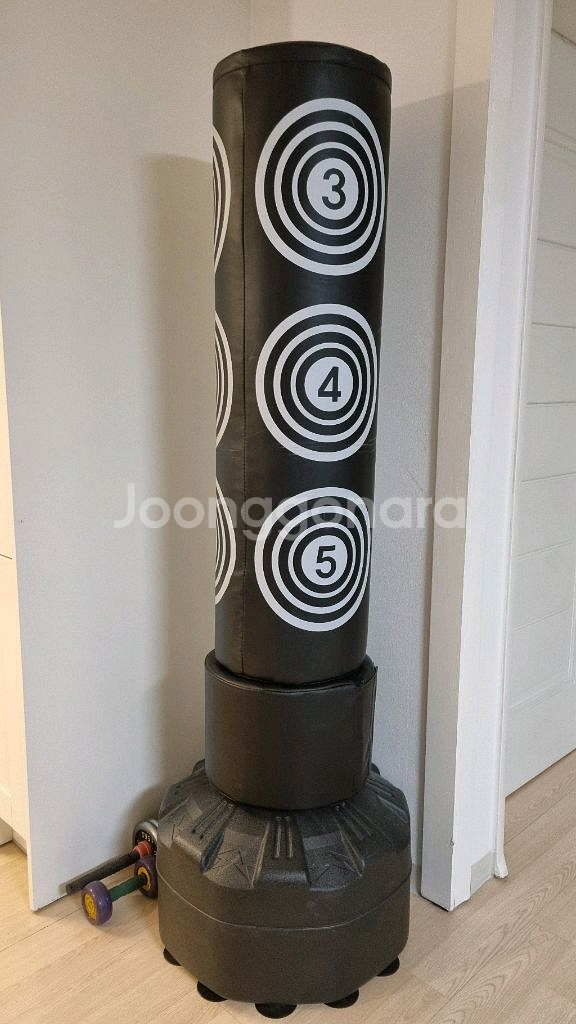 시그마 스포츠 아이워너 스탠딩 펀칭백--0