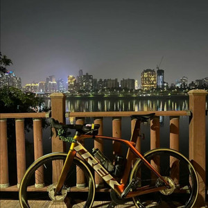 트렉마돈SL6 디스크 56 카멜레온커스텀 by 딥프로 이미지