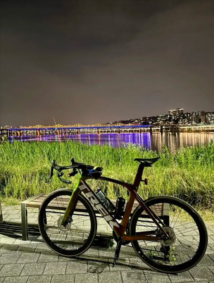 트렉마돈SL6 디스크 56 카멜레온커스텀 by 딥프로 이미지