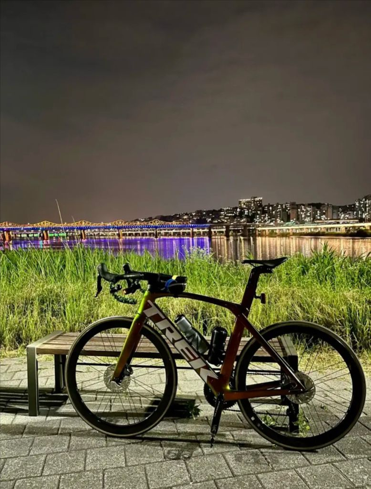 트렉마돈SL6 디스크 56 카멜레온커스텀 by 딥프로 이미지