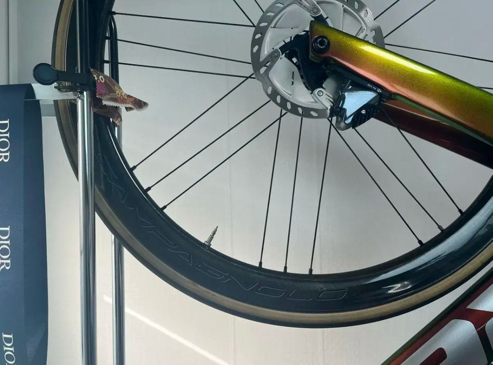 트렉마돈SL6 디스크 56 카멜레온커스텀 by 딥프로 이미지