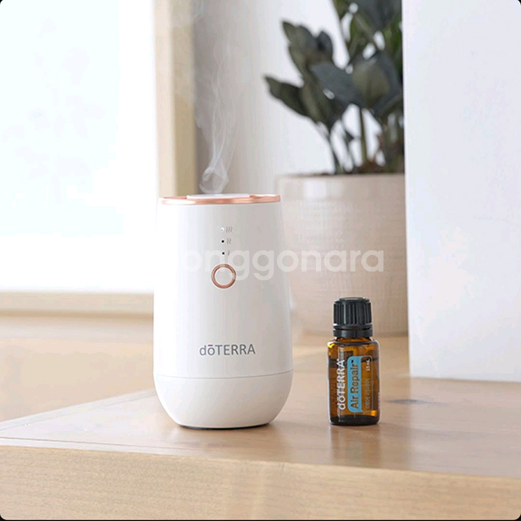 화이트 디퓨저세트 (도테라)--1