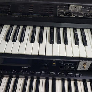 로렌드 D50