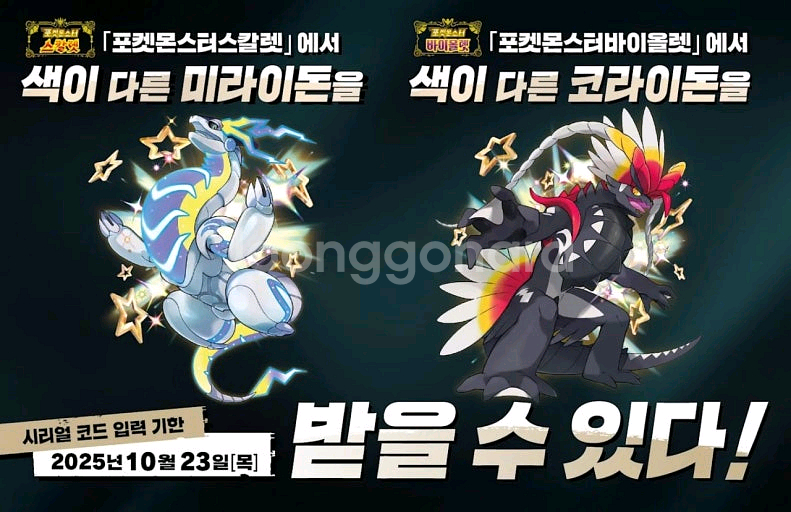 포켓몬스터 이로치 미라이돈/코라이돈 코드--0