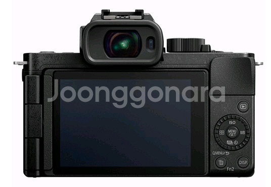 파나소닉 루믹스 G100 바디--0