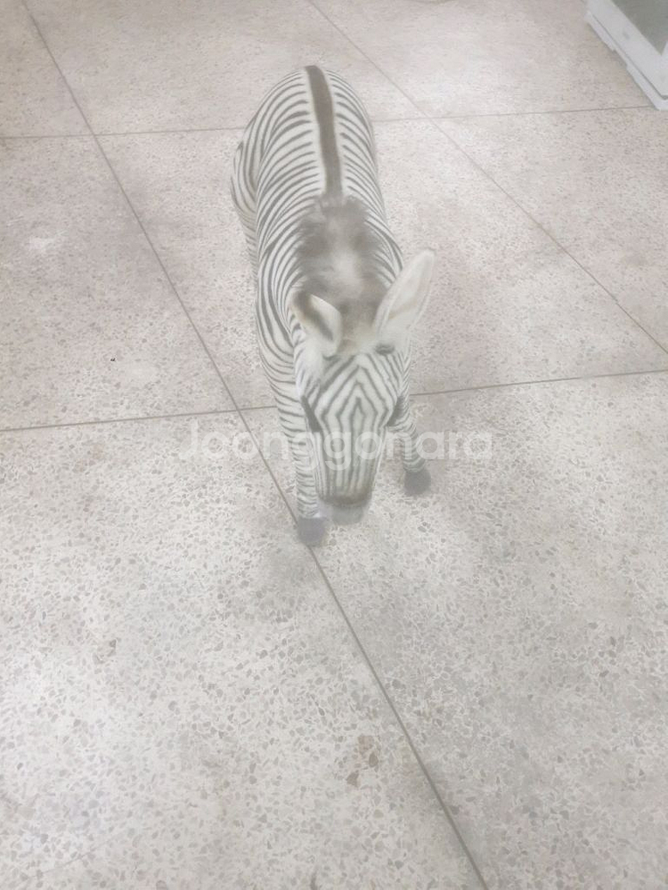 타는 얼룩말 팝니다--1