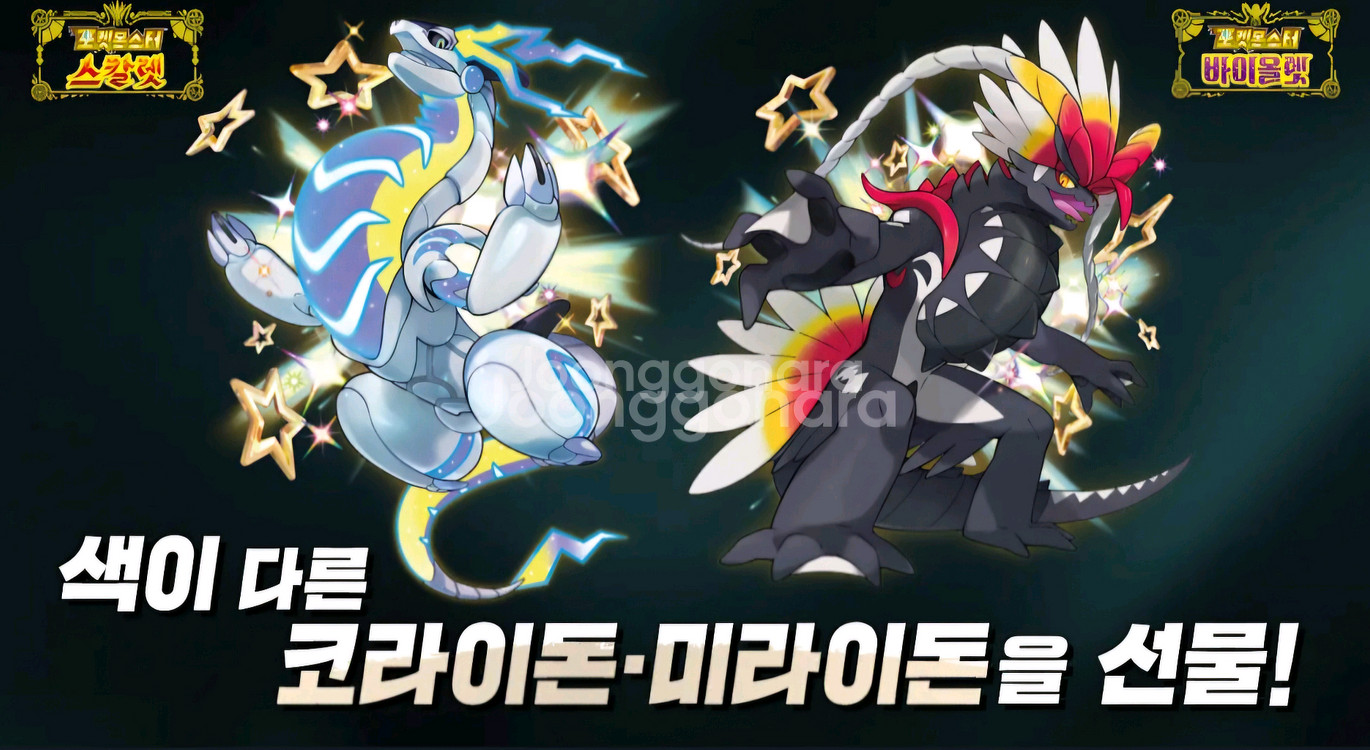 이로치 코라이돈 미라이돈 코드 팝니다--0