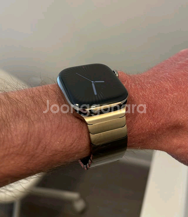 애플워치10 내추럴 티타늄 46mm셀룰러+스트랩3종--1