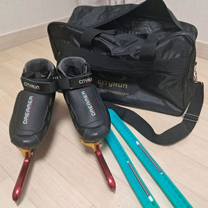 시티런 230 판매 (날, 가방포함)