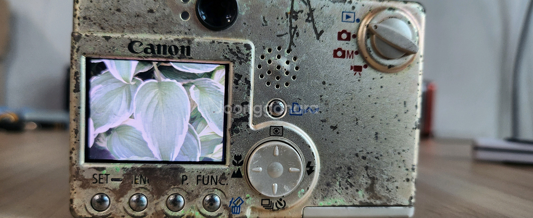 CANON 익서스 2S 청동기시대 버전 디지털카메라--6