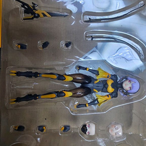 스네일쉘 와스프