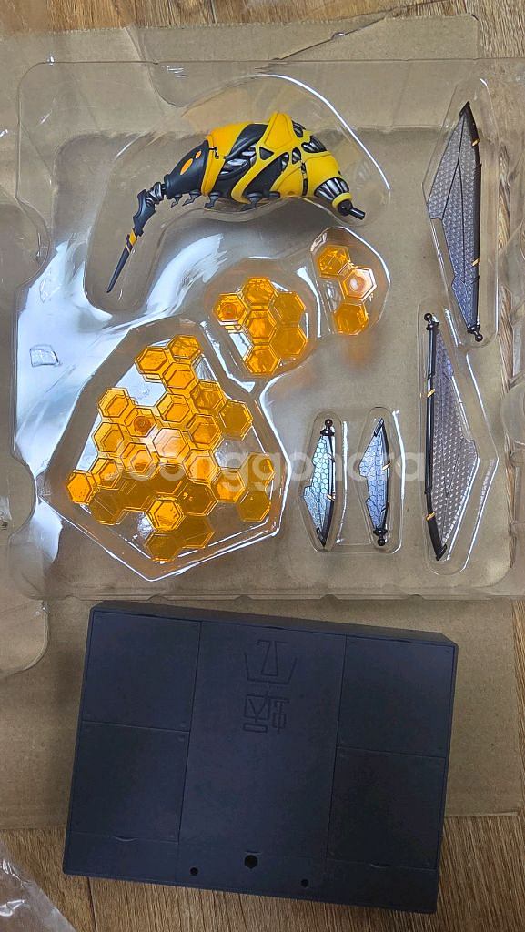 스네일쉘 와스프--1