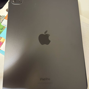 아이패드 프로 m4 256g wifi