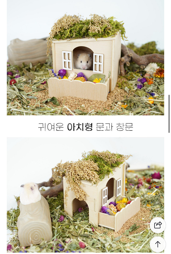 햄스터 케이지+용품--7