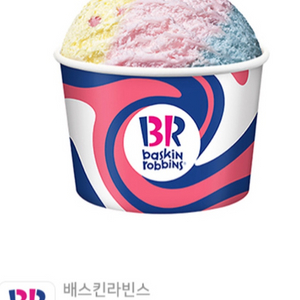 베스킨라빈스 파인트 아이스크림 + 싱글레귤러