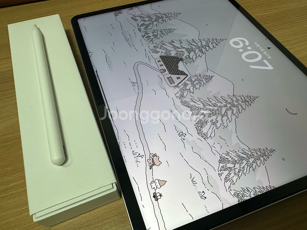 아이패드 프로 5세대 12.9, 애플펜슬 2세대 판매--0