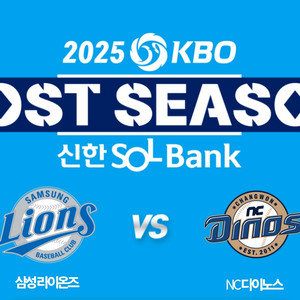 와일드카드 2차전 삼성 vs nc 3루스카이지정석