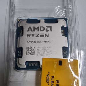 amd ryzen 9600x