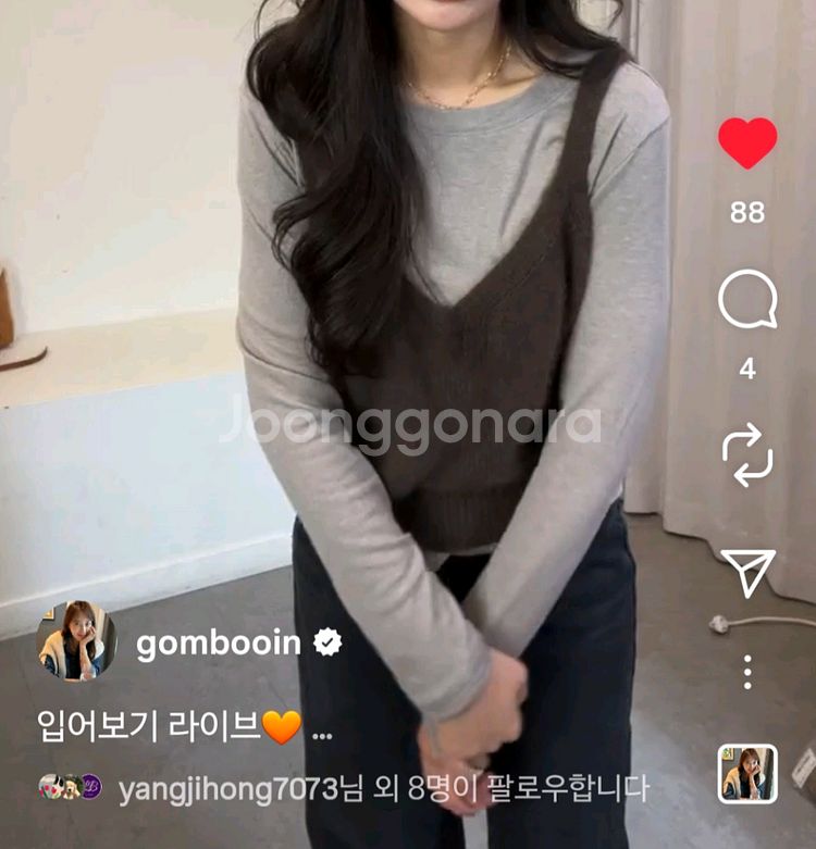 밤비올라 곰부인네 라쿤폭스 뷔스티에--1