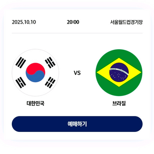 대한민국 브라질 축구 2등석B 2연석