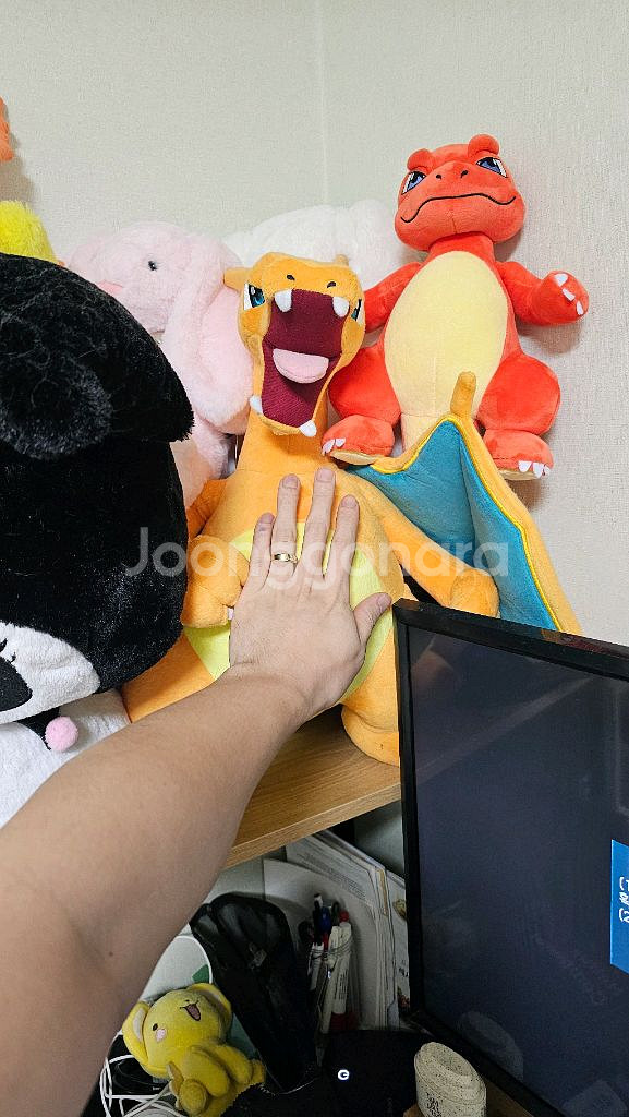 포켓몬 리자드,리자몽 인형 팝니다.--1