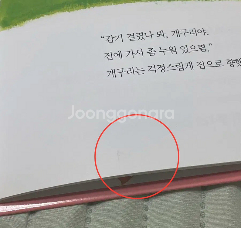 마루별 사랑에 빠진 개구리 동화책--3