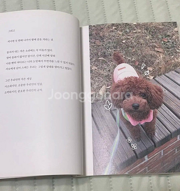 속삭이는 몽자 포토 에세이북--3