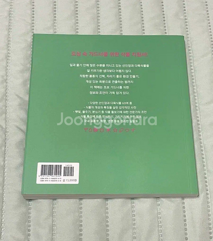 엠마 시블리 쉽게 키우는 선인장과 다육식물--1