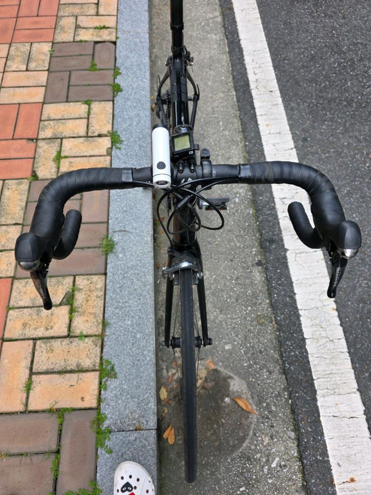 트렉 도마니5.2 카본로드 이미지