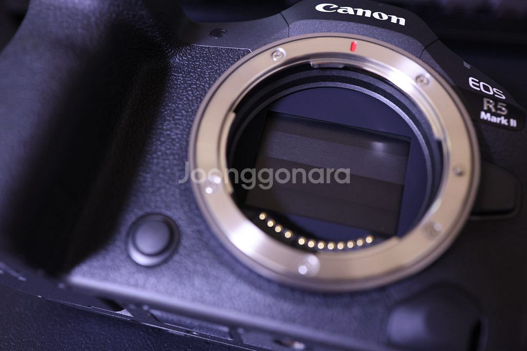 Canon R5 Mark 2--3
