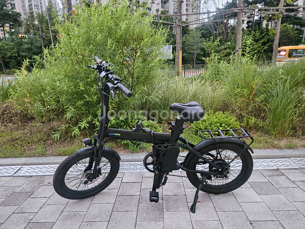퀄리Q맥스 전기자전거--0