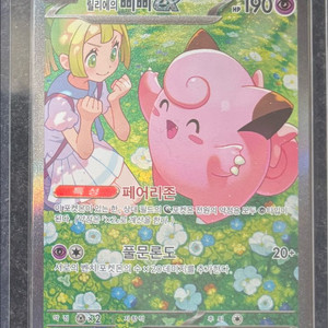 릴리에의 삐삐SAR 이미지