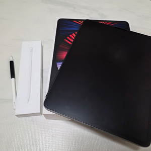 아이패드 프로 12.9형 (5세대) Wi-Fi 256G