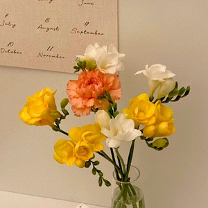 롯데시네마 2인+콤보할인권