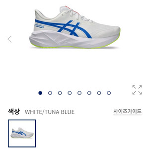 아식스 노바블라스트 5 245