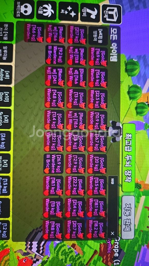 식물 vs 브레인롯 경찰 골드.레인보우--0