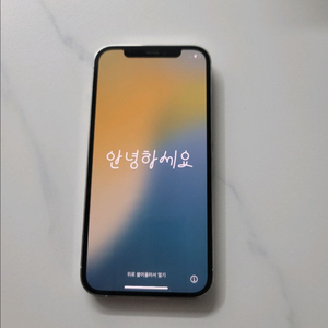 아이폰 12프로