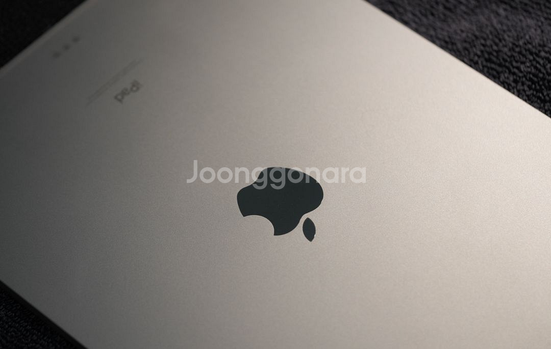 ipad pro 11 512 셀룰러와 무선충전케이스--6