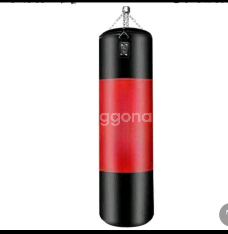 PROESCE Fitness 샌드백 LPB-2502 새--0