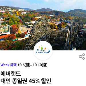 에버랜드 대인 종일권 45% 할인(4장)